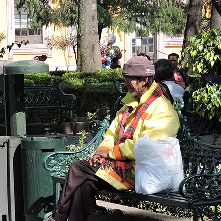 Puchito, después del trabajo - Coyoacan, - DIC 2017